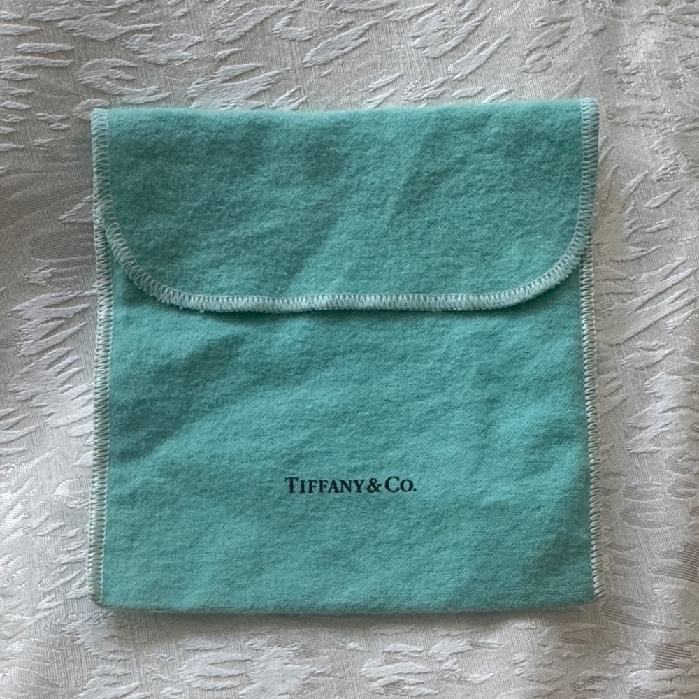 Tiffany & Co. Aqua Jewelry Pouch and dusty bag